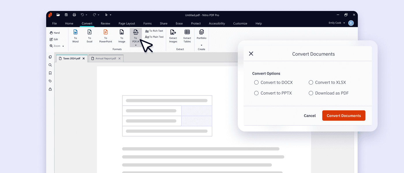 Nitro PDF Pro converting a document to Word, Excel, PowerPoint PDF/A and image